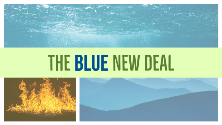 The BLUE New Deal